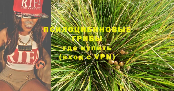 стаф Абинск