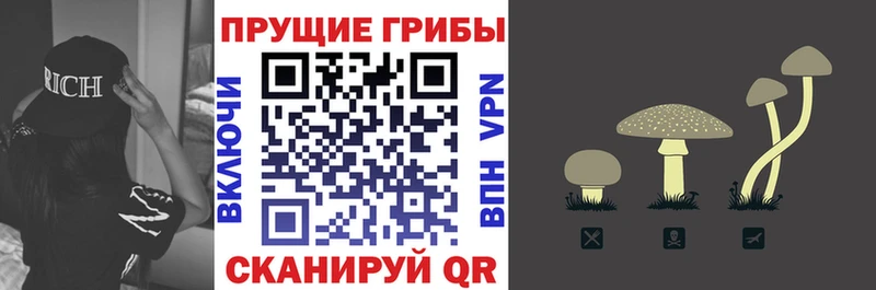 Галлюциногенные грибы мицелий даркнет сайт Новочеркасск