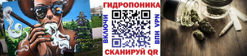Шишки марихуана марихуана кракен онион Новочеркасск